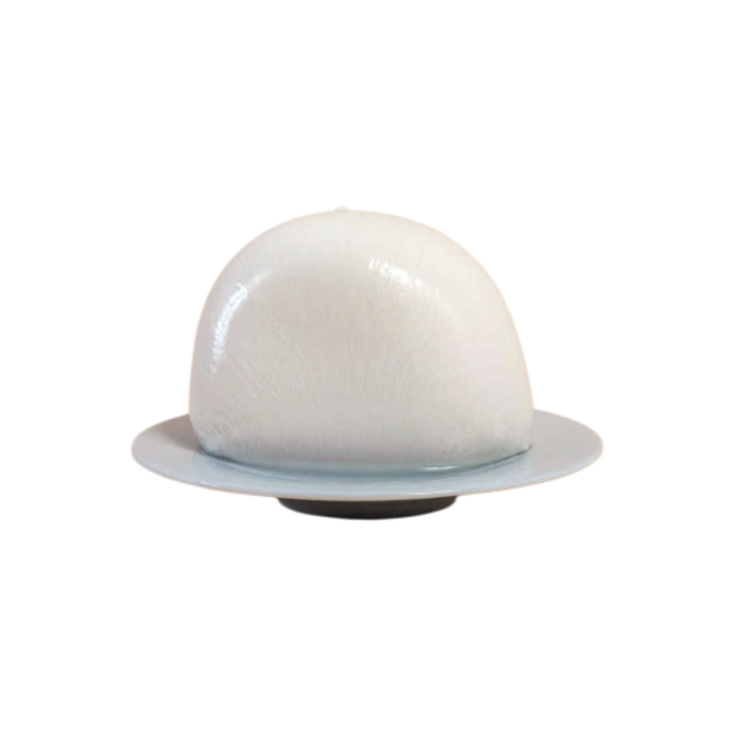 IGNALAT - MOZZARELLA FIOR DI LATTE - 250g (2x125g)