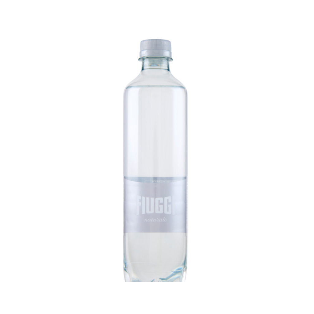 FIUGGI ACQUA NATURALE 500ml